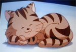 Un chat  la con !